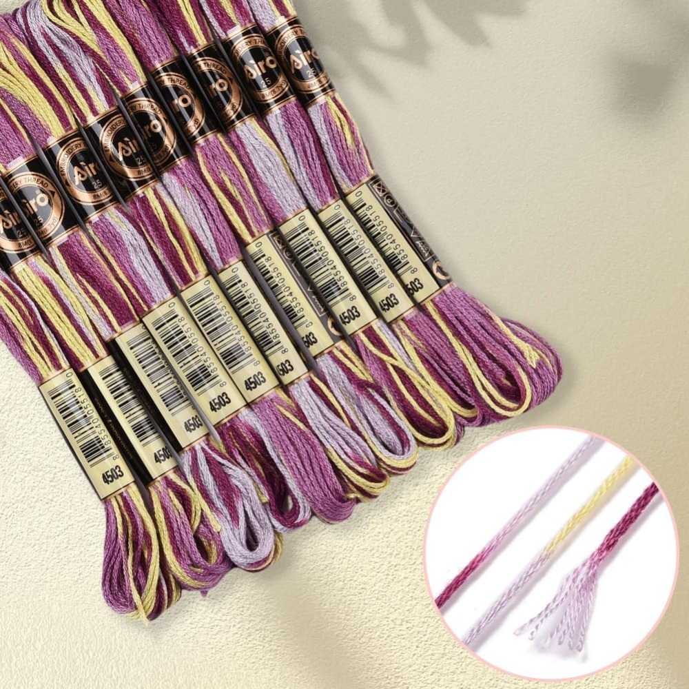 6 Strands Purple Variegated Em - Embroidery Computer 评论和价格